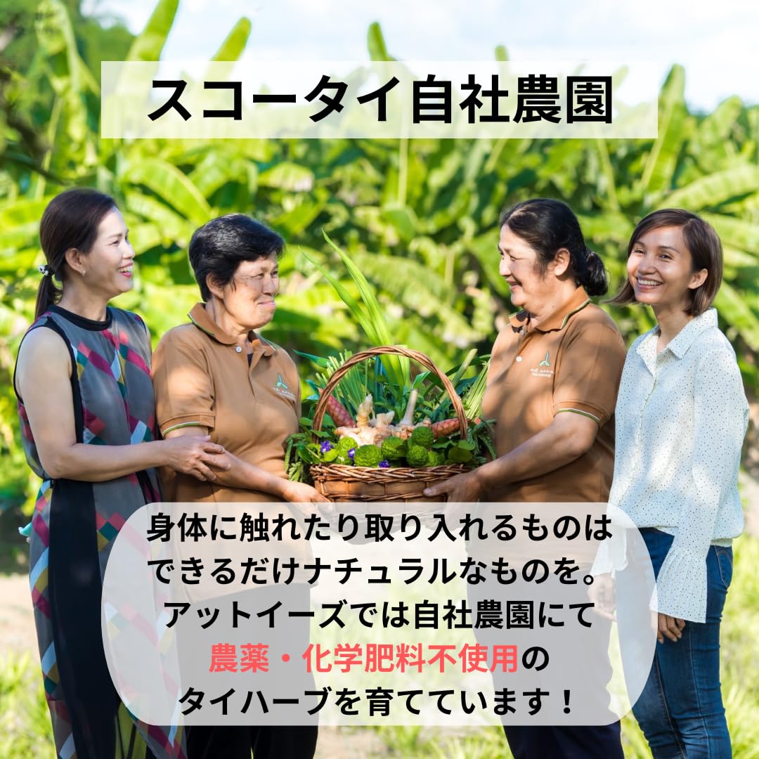 Amazon | [アットイーズ] ハーブティー レモングラス & パンダンリーフ
